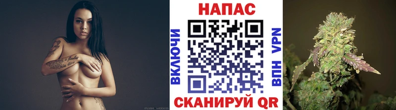 купить наркотик  Ессентукская  Каннабис тримм 